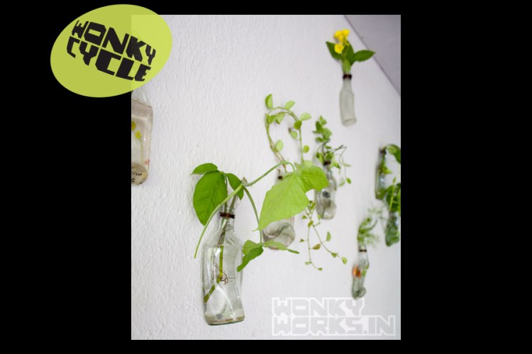 Bottle Planter INR 800 each, 10 for 5000