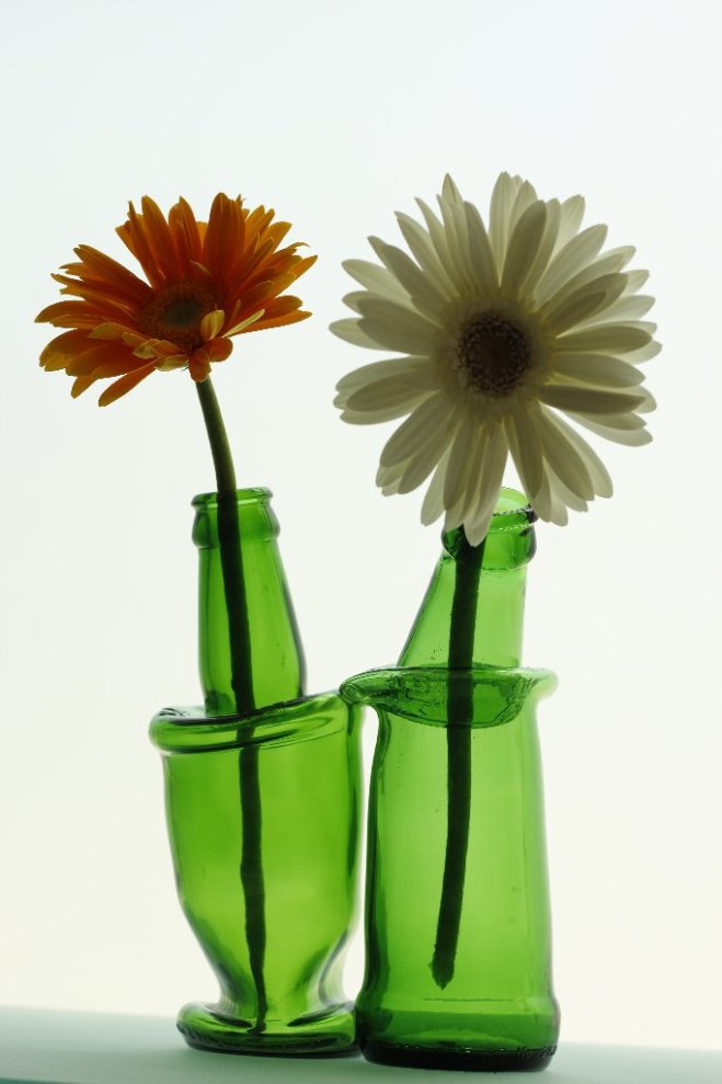 2 Bottle vase